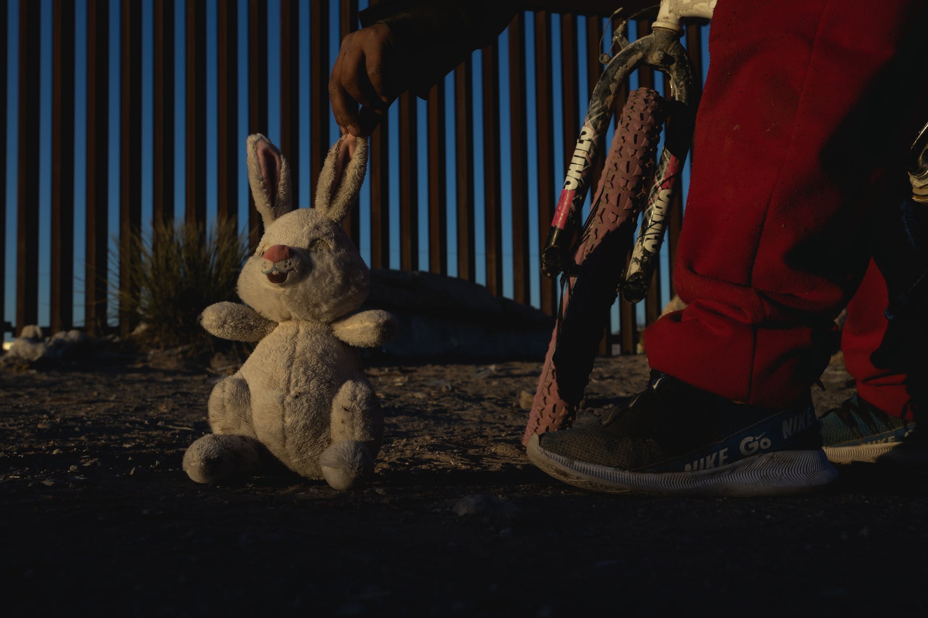 nino juega con conejo frente a la frontera